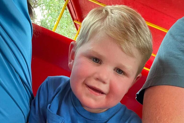 Niño de 2 años en Georgia está en soporte vital tras ser picado más de 150 veces por avispas amarillas